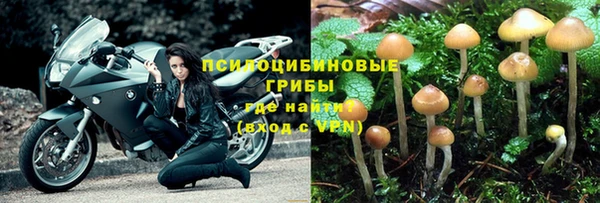 прущая мука Богородицк