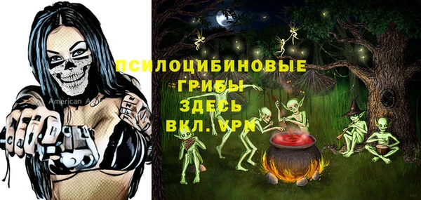 героин Богданович