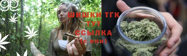 гидропоника Богородск