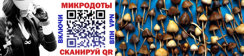 Псилоцибиновые грибы прущие грибы  маркетплейс состав  Острогожск  купить закладку 