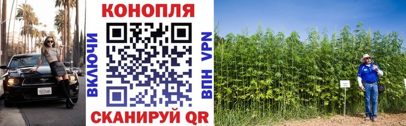 Конопля Ganja  Острогожск 